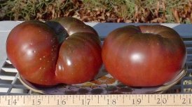 black krim