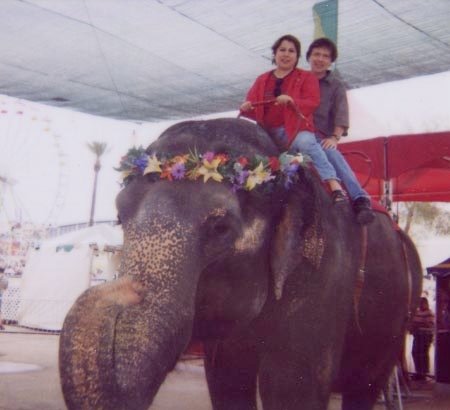 foto